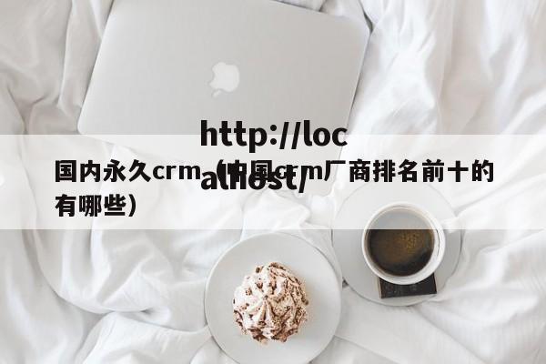 国内永久crm(中国crm厂商排名前十的有哪些)
